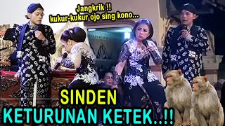 Download lagu Cak Percil Cs Terlucu : petuk Sinden edan keturunan Ketek..!! mp3 Download lagu Cak Percil Cs Terlucu : petuk Sinden edan keturunan Ketek..!! mp3