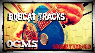 Bobcat Tracks - Old Crow Medicine Show | Slide guitar cover | GrunKTheBard