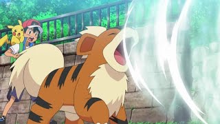 Evolution of Roar Attack                             #pokemon #evolution #roar #attack #youtubevideo