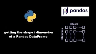 Get the shape / dimension of a pandas DataFrame | Taming Python skill