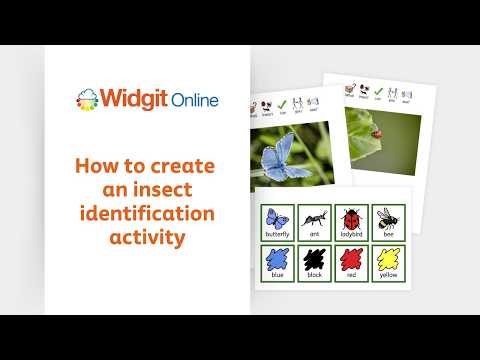 Create an Insect Identification Activity video thumbnail