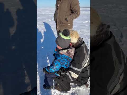 Hand lining up a Huge Pike! #icefishing #pike #fishing