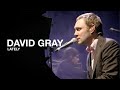 DAVID GRAY - Lately (Live in London)