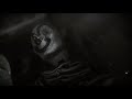 Sonido Gallo Negro Niño Perdido Feat Carmelo Torres