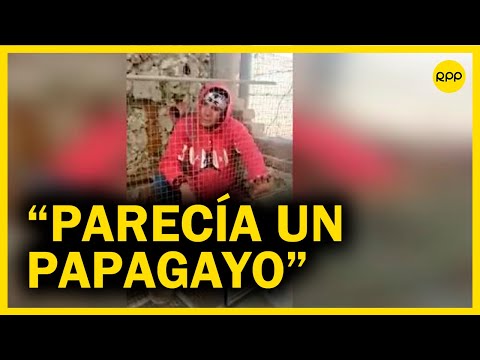 Lambayeque: Lo atrapan robando loros y de castigo lo encierran en la jaula de las aves