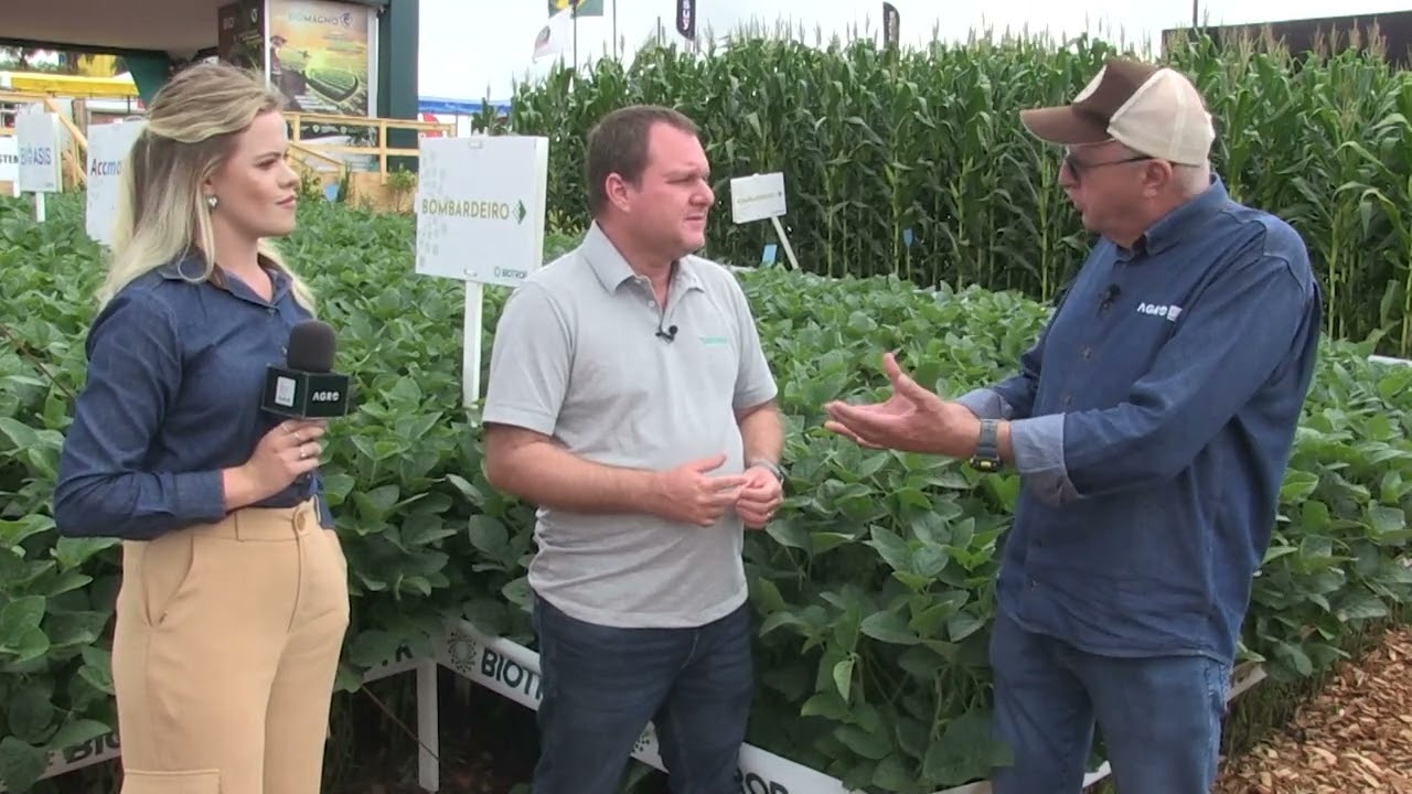 Bioinsumos favorecem o crescimento das plantas e a solubilização de nutrientes