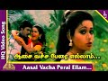 Aasa Vacha Video Song Enna Petha Raasa Tamil Movie Songs Ramarajan Rupini Ilayaraja