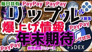 リップル XRP 爆上げ好材料 FShares FSDEX ノアプラチナム 爆上がり兄弟 毎日共有 ４１ / 1000日目 マイニング分析と仮想通貨ニュース配信