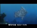 海底总动员 Finding Nemo Chinese Trailer