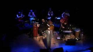 Eels with strings live at Town Hall NYC - Bus Stop Boxer