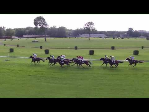 BA 21.5.2017 - Dostihy 5 - Hendikep Ypsilon Kinga