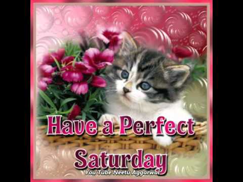 Happy Saturday Greetings/Quotes/Sms/Wishes/Saying/E-Card/Wallpapers/ Whatsapp Video