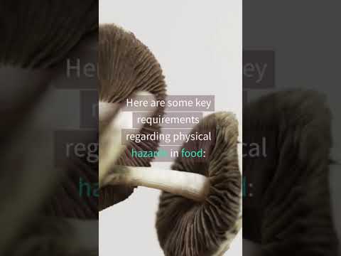 Understanding Physical Hazards in Food & ServSafe Certification