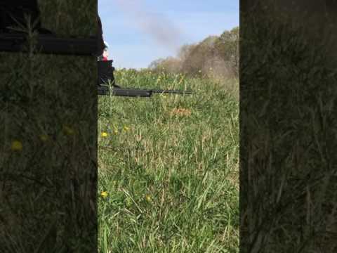 MOJO Scoot N' Shoot, works wonders!!!