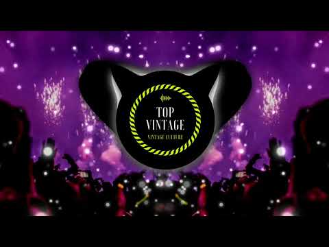 Vintage Culture & Fancy Inc - In the Dark (KRIEGER & Bolth Bootleg)