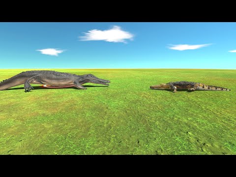 New Unit! Machimosaurus Rex Vs Every Unit ARBS Animal Revolt Battle Simulator Who Is The Strongest