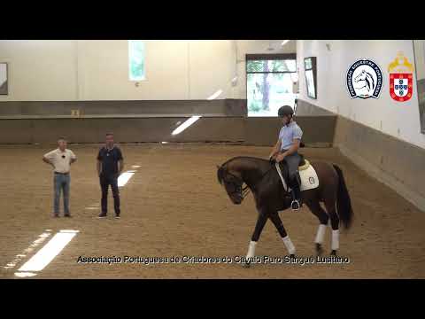 230626 1 Proj Ensino APSL&FEP - João Barbosa com Nápoles do Monte