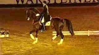 Video von Fidermark
