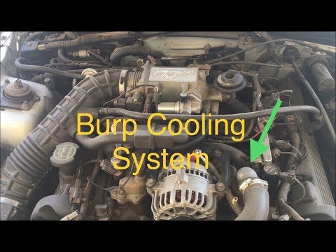 Burp Cooling system Mustang GT 4.6L / V6 3.8L 2V