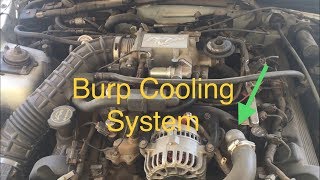 Burp Cooling system Mustang GT 4.6L / V6 3.8L 2V