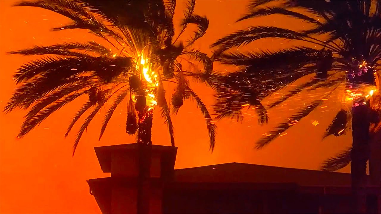 LA Firestorm: Extended Trailer for REELZ Wildfire Documentary