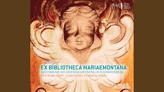 Aria alemagna con alcuni variazioni sopra l'età della Maestà Vostra: Pt. 19, Ungarische Geigen