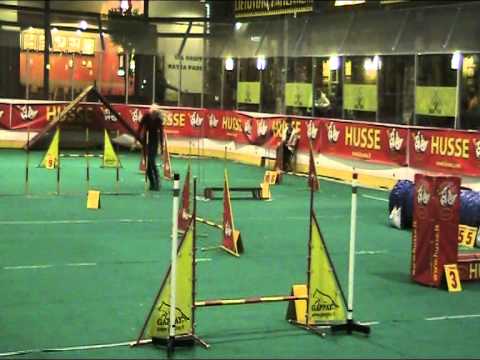 Snifs @Shauli 14Jan2012, Agility A3, jumping, chihuahua agility