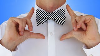 How to Tie a Bow Tie (Self Tie Bow Tie Knot) - How to Tie a Tie Easy Tutorial