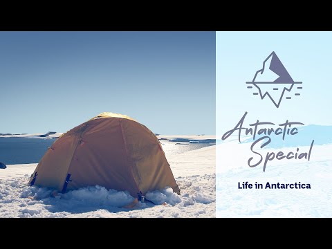 Life in Antarctica