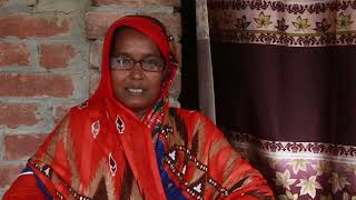 BRDB প্রামাণ্য চিত্র (আরজিনা)