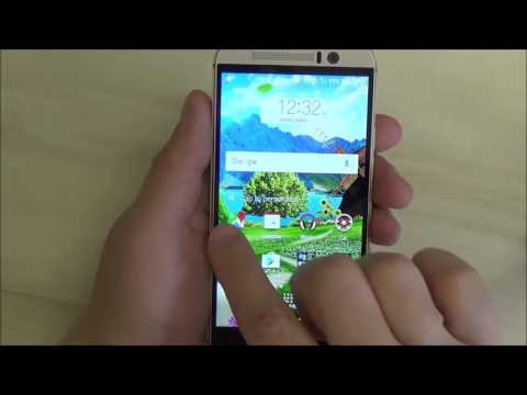 Summer Live Wallpaper Video