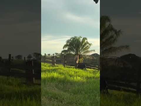 MATO GROSSO A COISA MAIS LINDA QUE JA VI.COMODORO, LUCAS DE RIO VERDE, MEU SONHO.NASMATÊ.