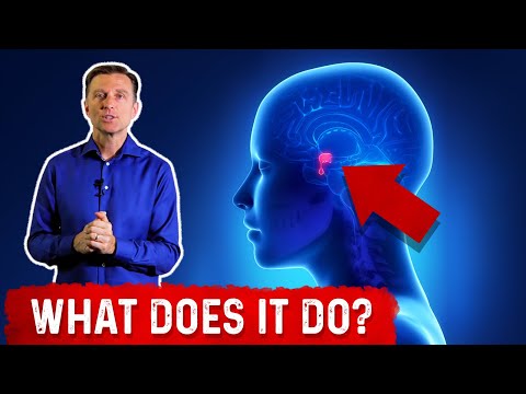 What is MTHFR – Dr Berg Explains in Simple Terms