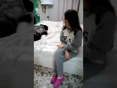 Digestione a parassiti Targhe da vermi Mosca