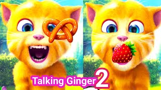 My Talking Ginger 2 Gameplay 😲😱| talking ginger | ginger cat | ginger |