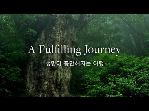 [야쿠시마 섬 | Yakushima] A Fulfilling Journey | 생명이 충만해지는 여행 [Commercial] [4K]