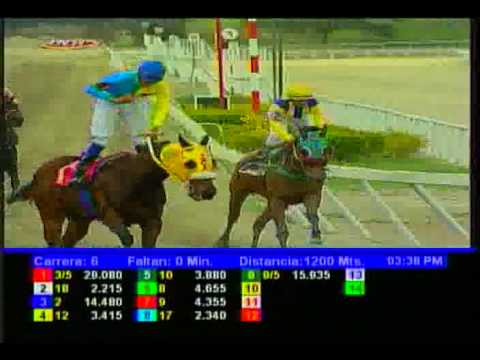 Resumen Sábado, 21 de Febrero de 2015 - La Rinconada