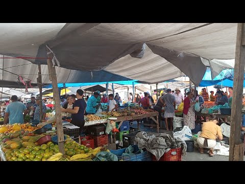 FEIRA LIVRE DE SÃO CAETANO PE, 13/06/2026 Sábado 