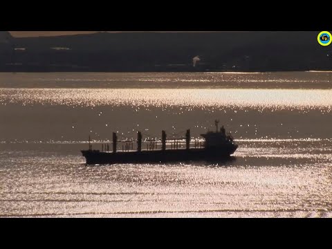 Death of a City - Stikla