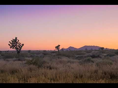 Hermanos Gutierrez - Cerca De Ti (slowed + reverb)