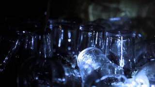 The Dog Will Rise Again