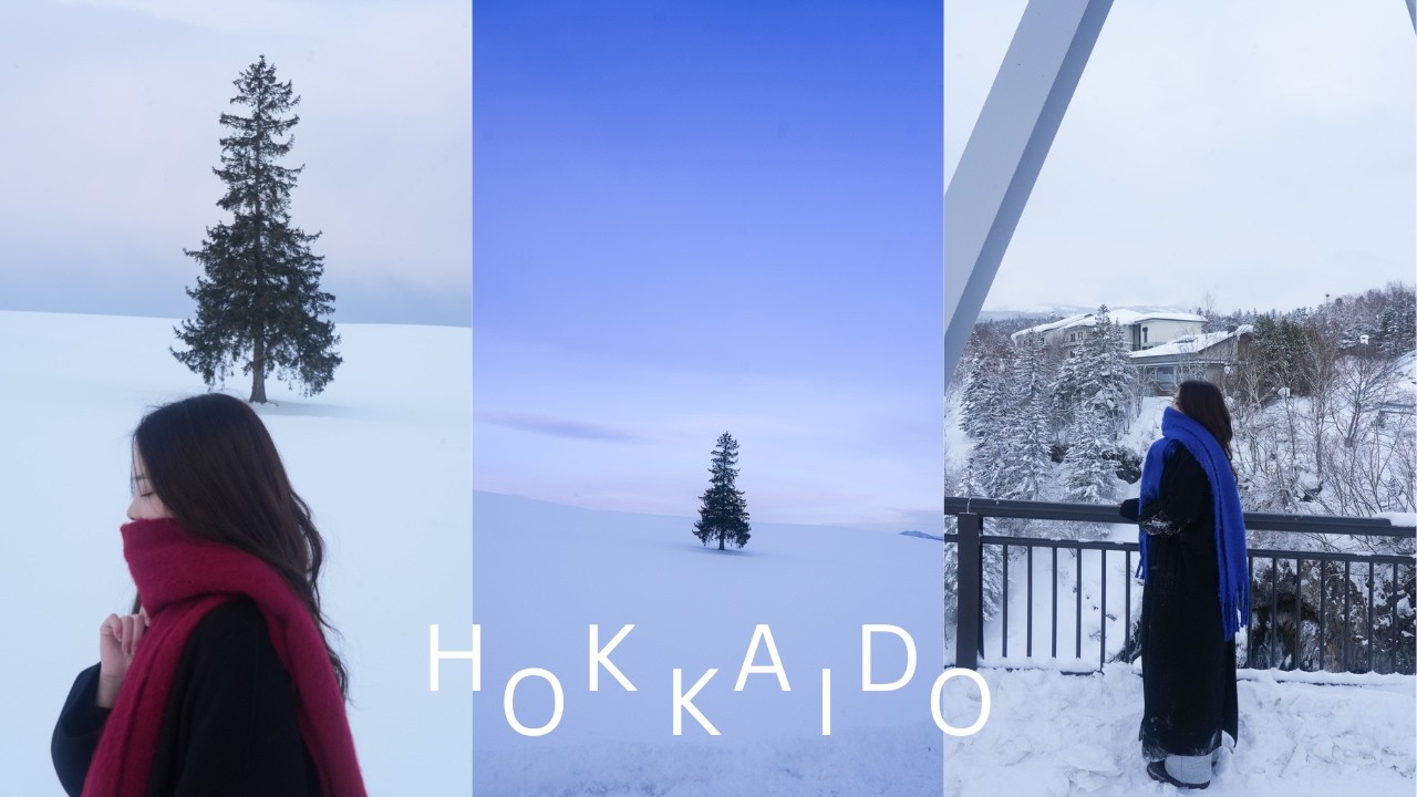 【北海道旅行 8日間(4K)】約40箇所の人気スポット,グルメ,カフェ巡り | 札幌、美瑛、小樽、富良野、登別温泉、定山渓、苫小牧、すすきの、千歳 | 定番スポットまとめ完全保存版☕️❄️