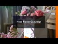 Hope Flower Campaign By The Embassy Of The Netherlands
