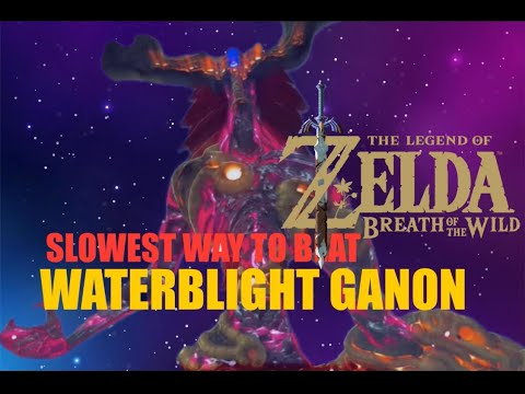 The Most Improvised Way to Defeat Waterblight Ganon