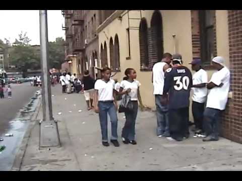 Westbury Court Flatbush Brooklyn - 2000