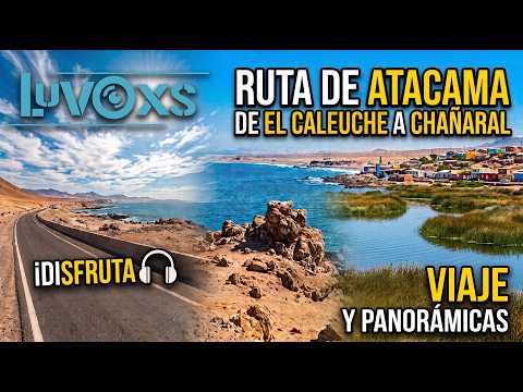 Ruta Costera : El Caleuche - Chañaral y Caminata en el Humedal | Atacama, Chile 4K