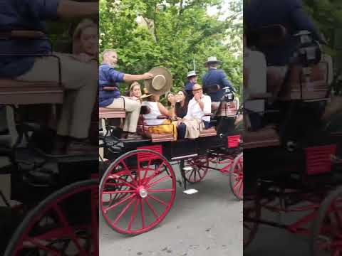 Un COCHE DE CABALLOS por las calles de CÓRDOBA bajo ALTAS TEMPERATURAS