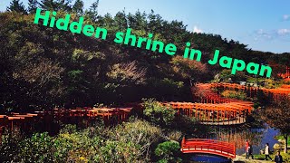 preview picture of video 'Beautiful Hidden Shrine in Japan!!'