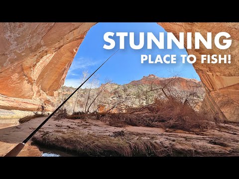 This Might Be the Most Beautiful Place I've Fished (Tenkara Fly Fishing)