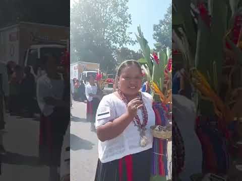 Nancy Anabella Poou Mucú,  Chahal, Alta Verapaz.